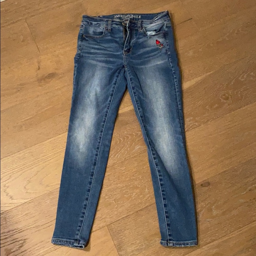 Rose embroidered AE denim skinny jeans